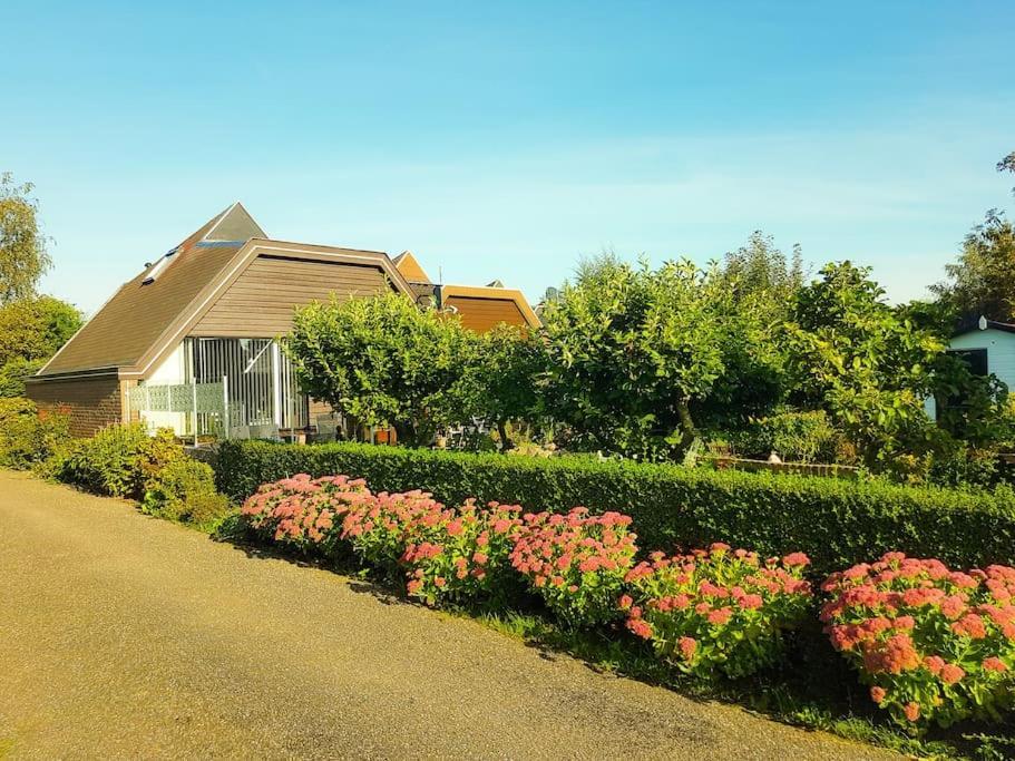 Lovely House Till 6 P. Near Amsterdam, Sea Apartment Opmeer Exterior foto